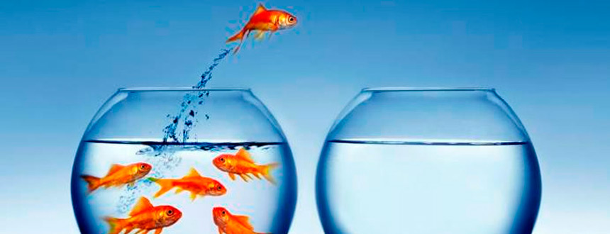 Innovación: cómo fomentar la creatividad interna multitaskers Camino Acceso creativo